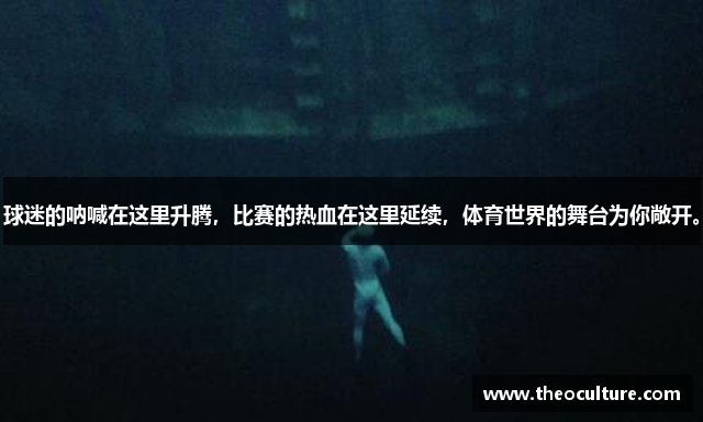 球迷的呐喊在这里升腾，比赛的热血在这里延续，体育世界的舞台为你敞开。